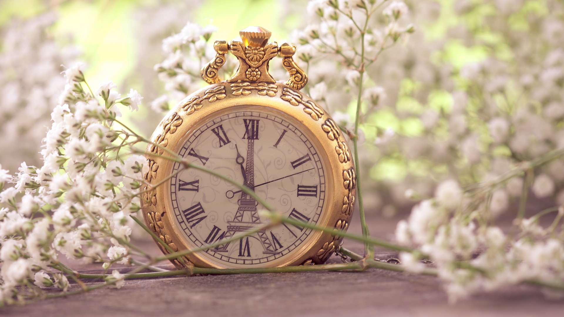 macro flores pequeño blanco reloj bolsillo torre eiffel parís