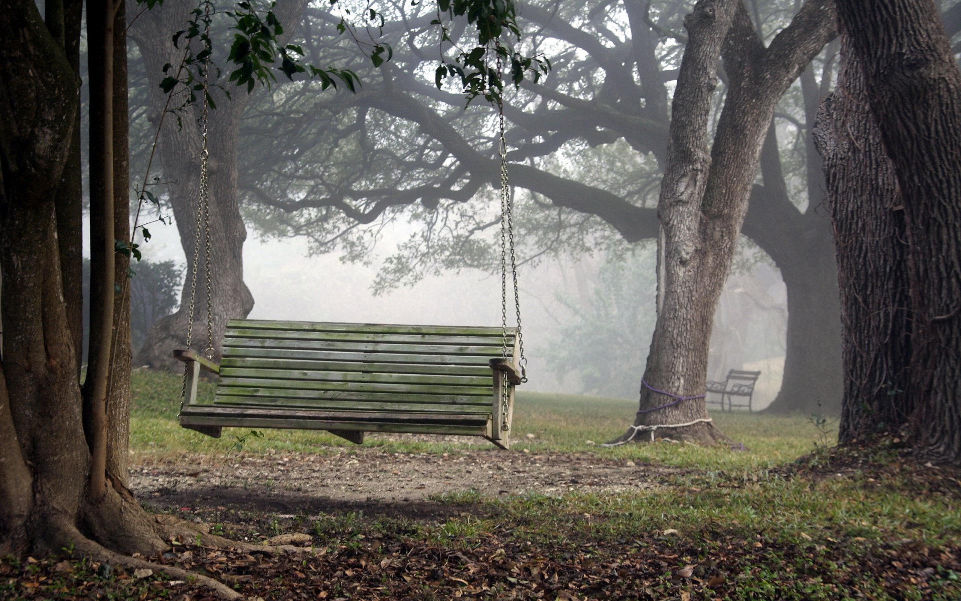 parc balançoire nature