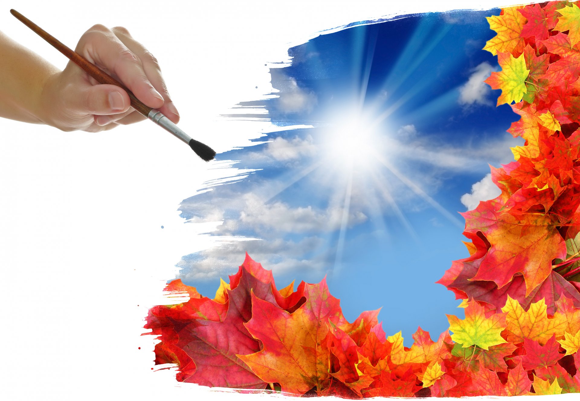 brosse main dessin feuilles nuages soleil automne