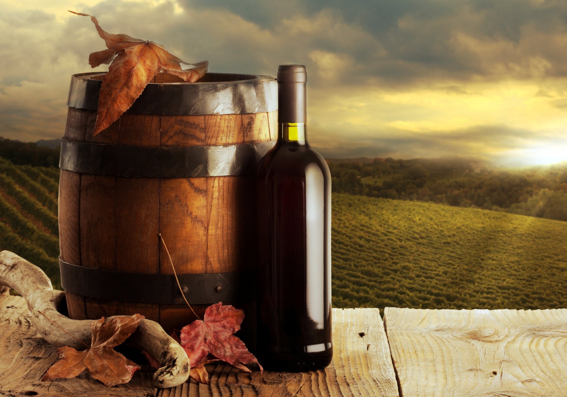 wine red a bottle barrels leaves autumn background vineyard