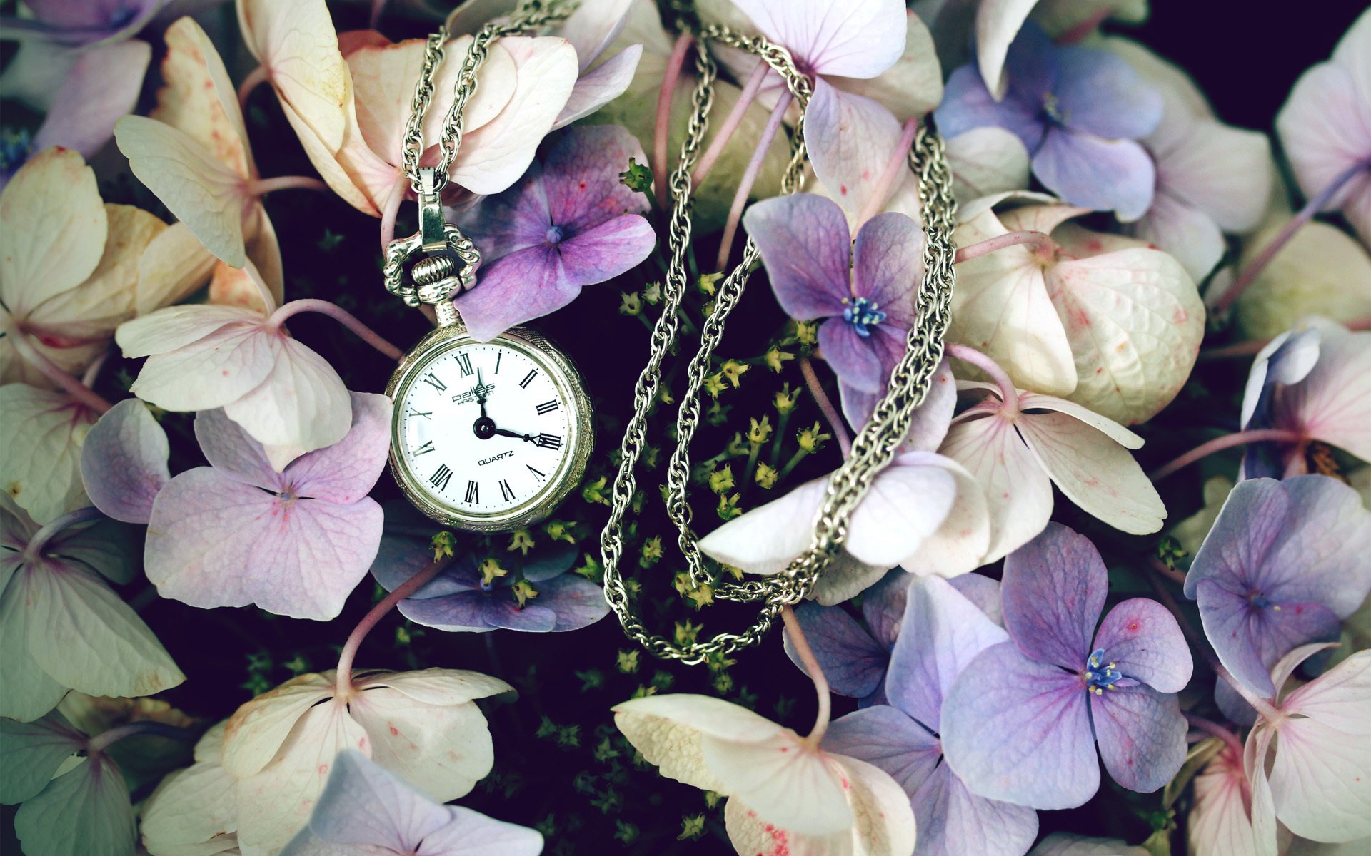 flores reloj bolsillo campo lila