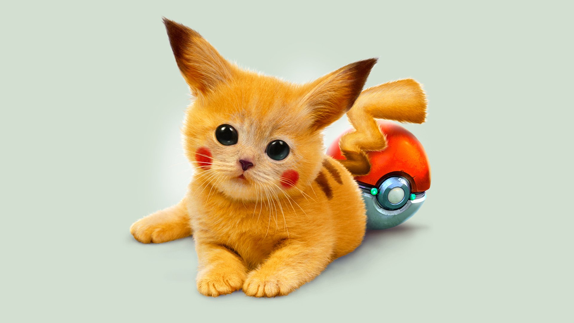 kitten red pokemon pikachu eyes art