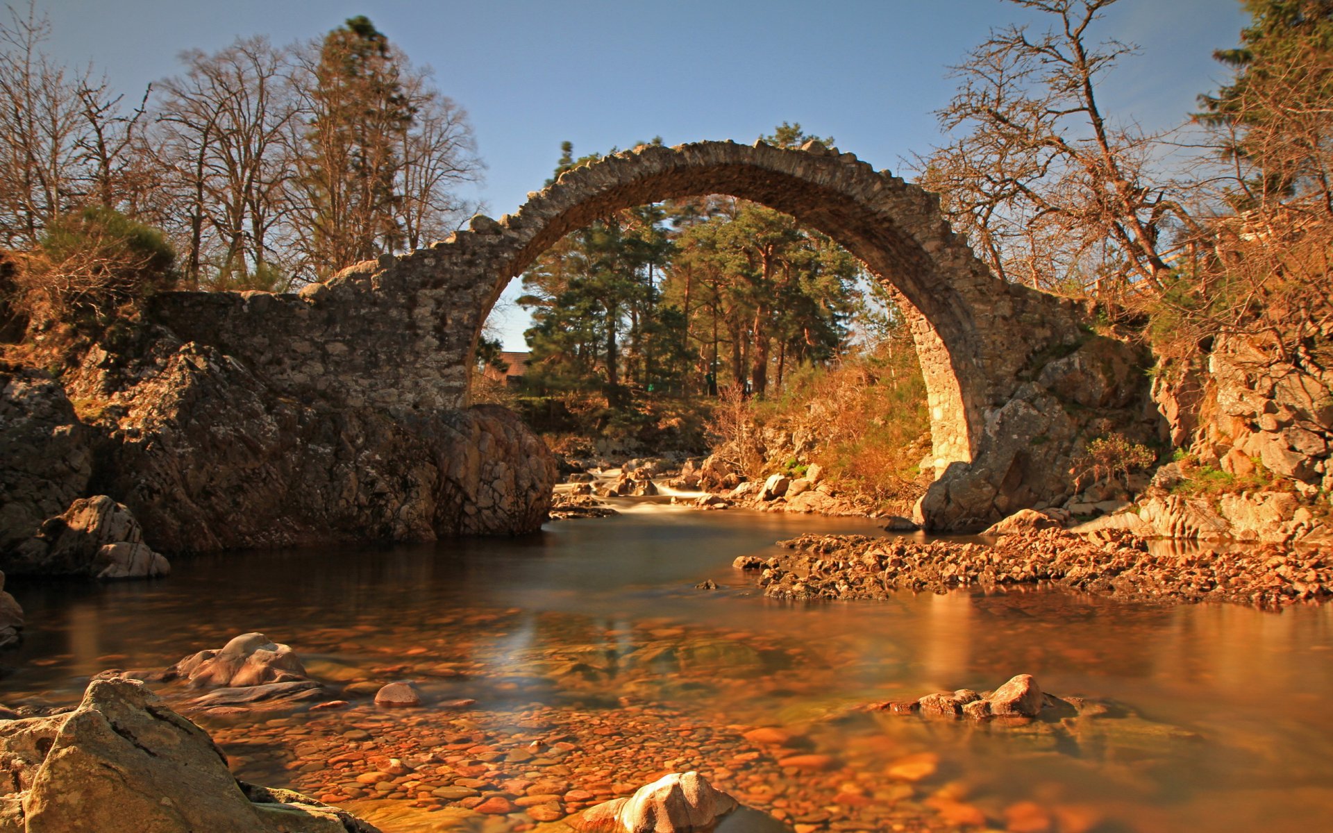 río puente naturaleza