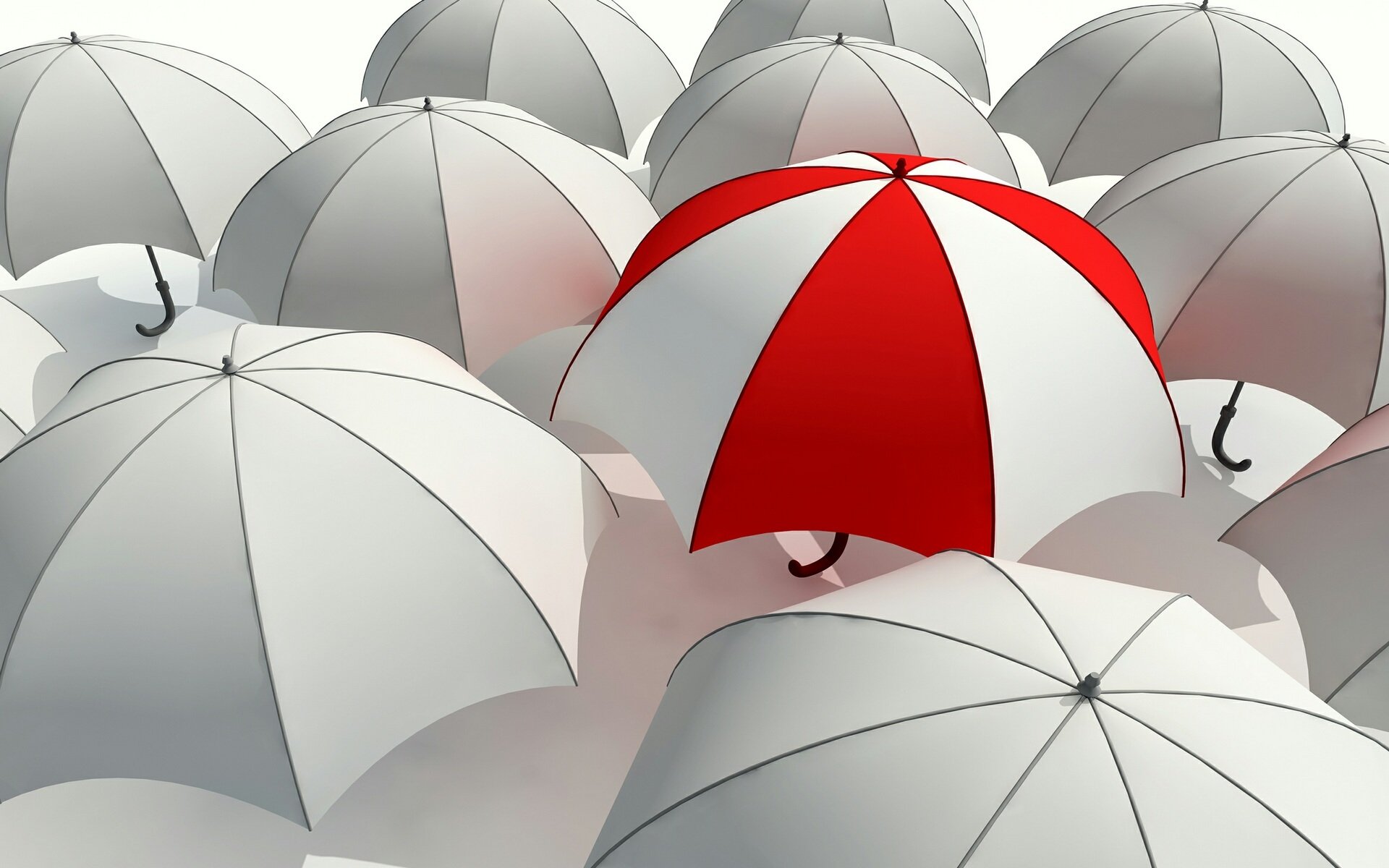 umbrella umbrella grayness difference red white gray stand out from the crowd