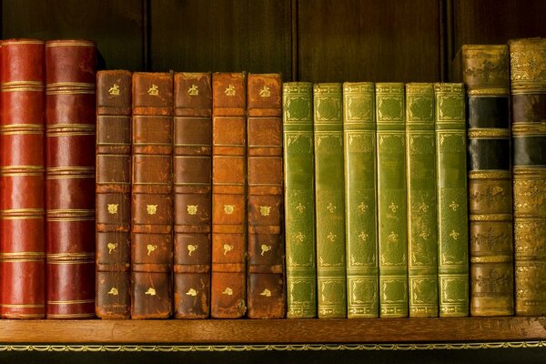 A shelf with books in an old library