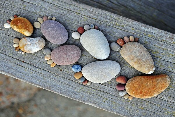 Piedras en forma de huellas humanas en el tablero