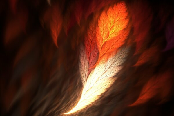 Phoenix feather in good quality