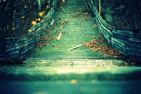 Wooden bridge with dry leaves