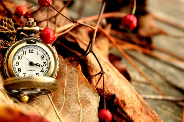 Reloj de bolsillo con hojas de otoño