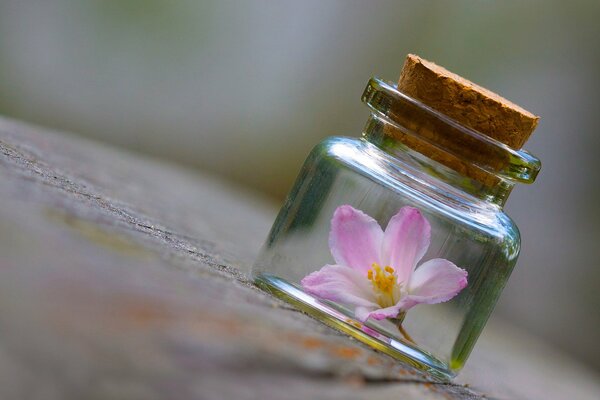 The jar with the flower lies on the surface