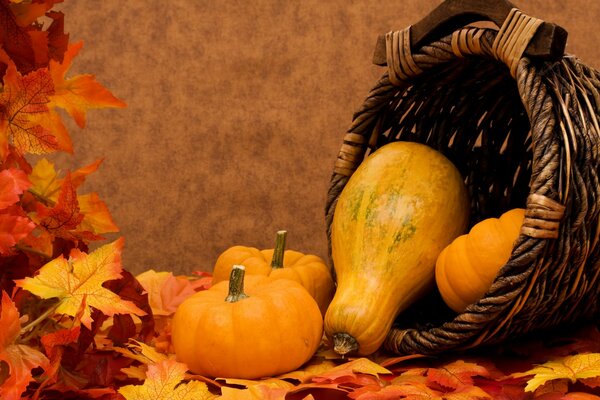 Una canasta de calabaza descansa sobre las hojas en un fondo de otoño