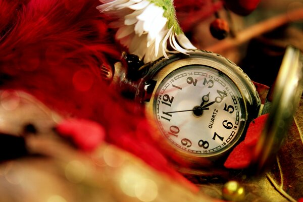 Pocket watch on a background of red feathers