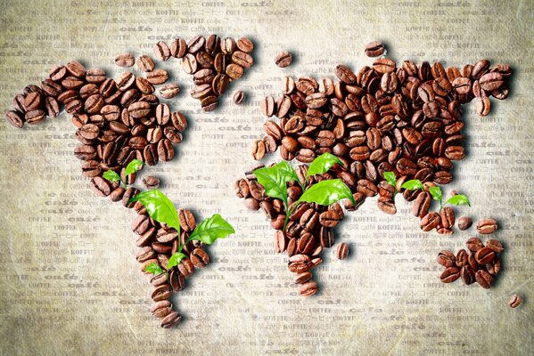 Chicchi di caffè versati come una mappa dei continenti