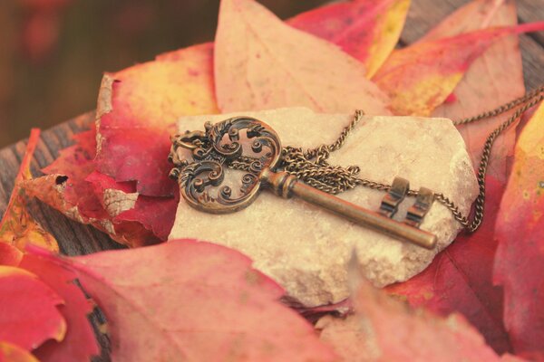 Clé sur une chaîne sur un fond de feuilles d automne