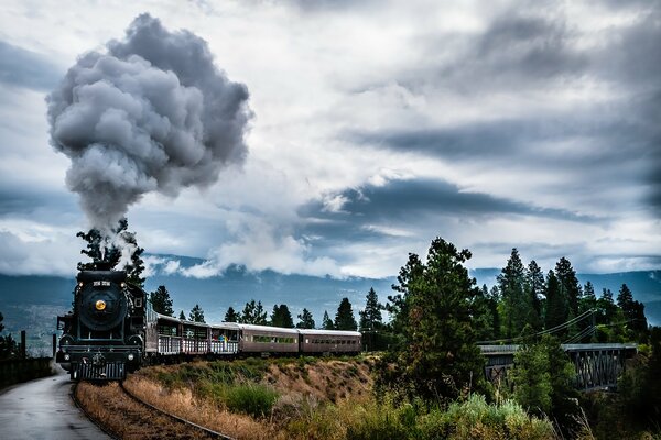 Eine Dampflokomotive, die mit der Eisenbahn im Wald fährt, bei der Rauch aus dem Rohr kommt