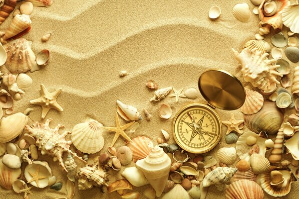 Image of starfish on the sand