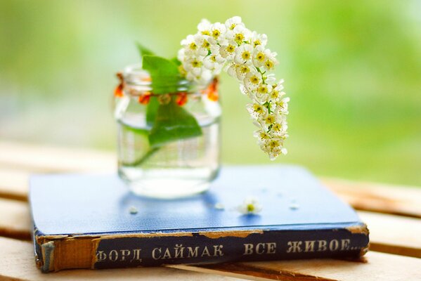 A jar with a branch of white flowers and a book by Ford Simak