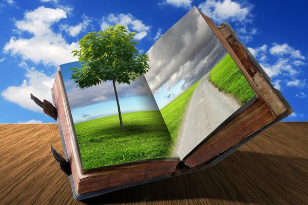 Arbre et route sur les pages du livre