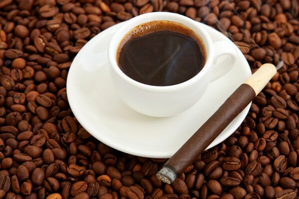 A cup of coffee on coffee beans and a coffee-colored cigar