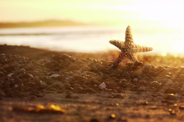 Sea race against the background of dawn on a sandy beach