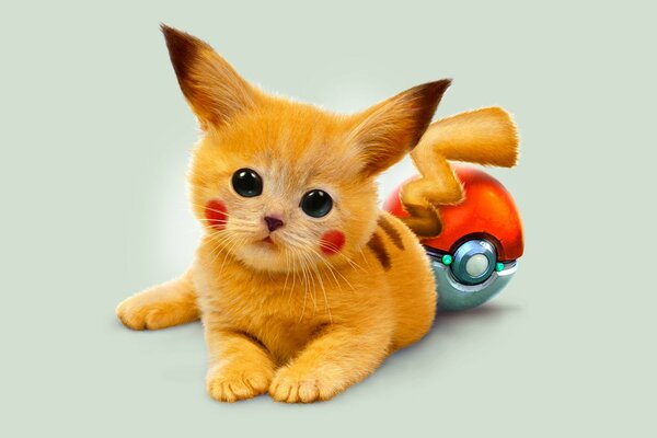 A red kitten stylized as a pikachu