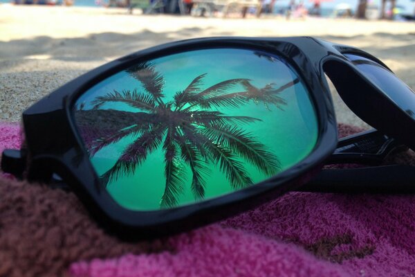 The glasses on the beach reflect the sky and a palm tree