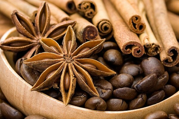 Different spices with coffee beans and cinnamon