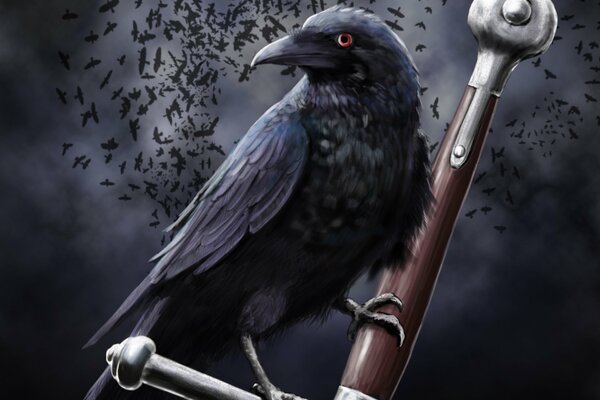 Black raven on the hilt of the sword