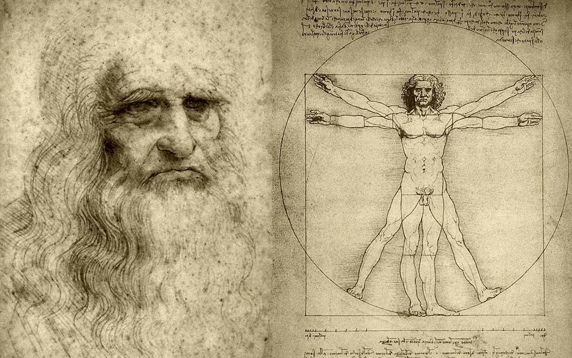 uomo vitruviano leonardo da vinci disegno pittore