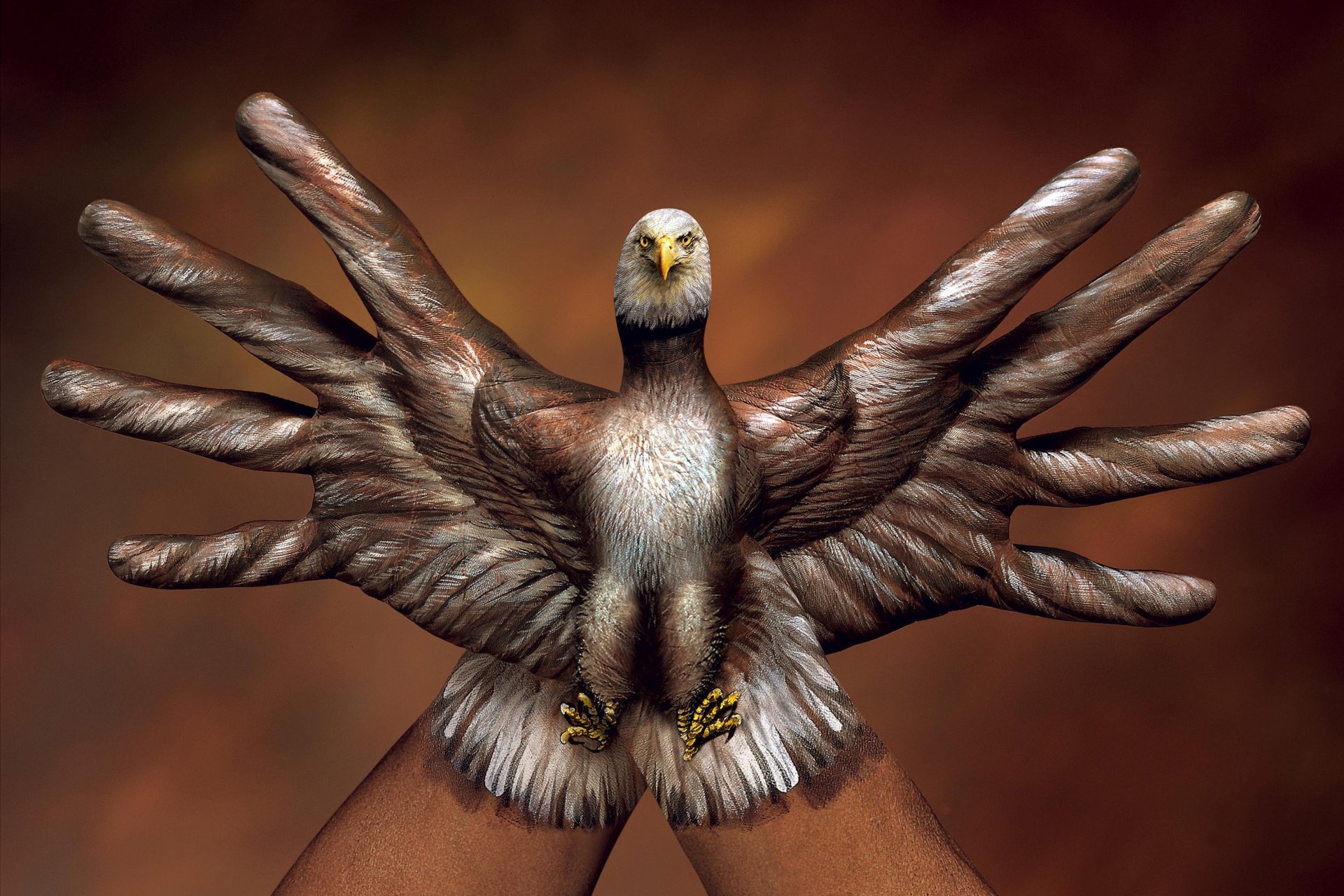 uccello fatto a mano creativo italiano artista guido daniele guido daniel dita mano carta da parati