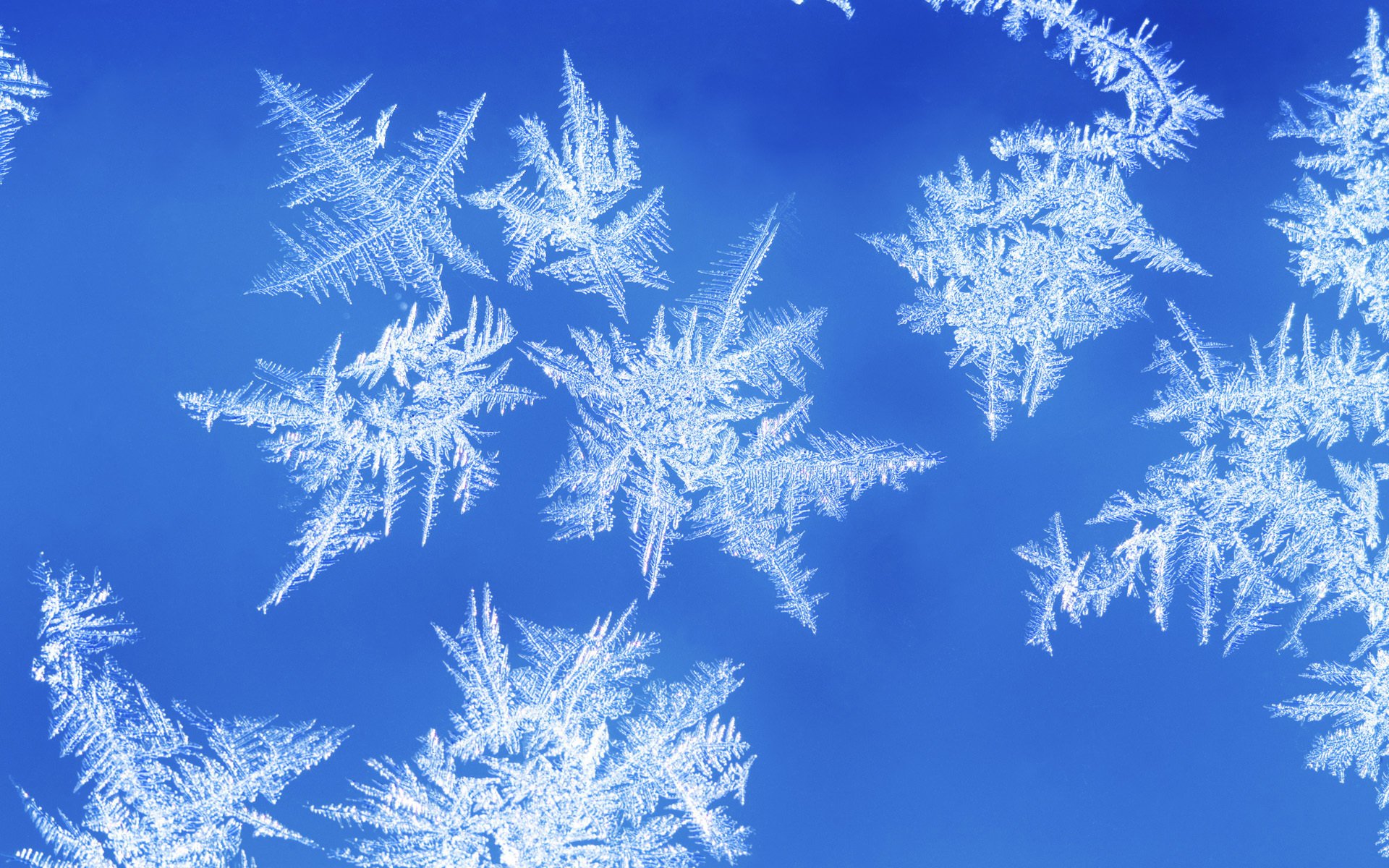 flocons de neige gel modèle fenêtre givre hiver