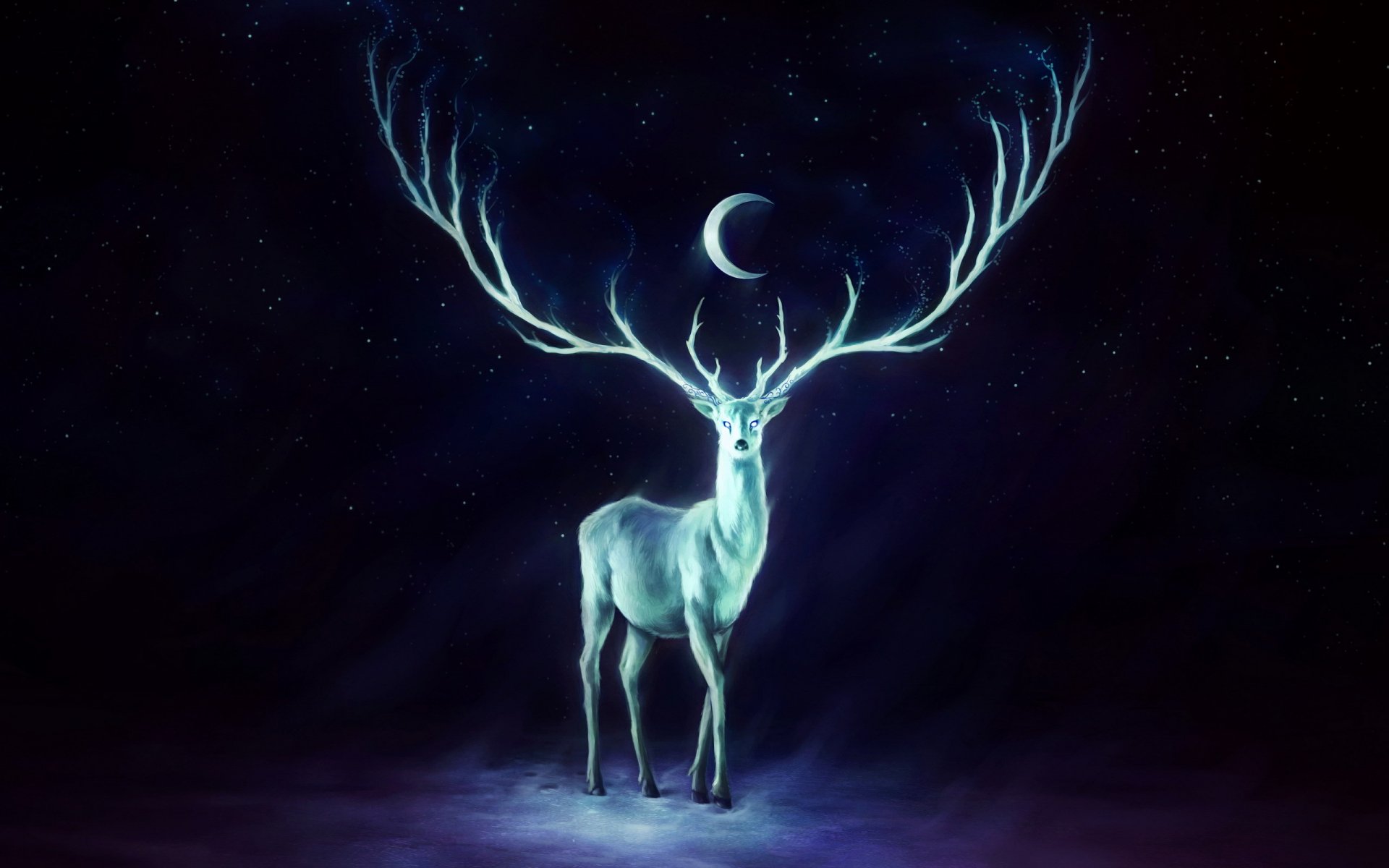 reindeer horn moon sky star