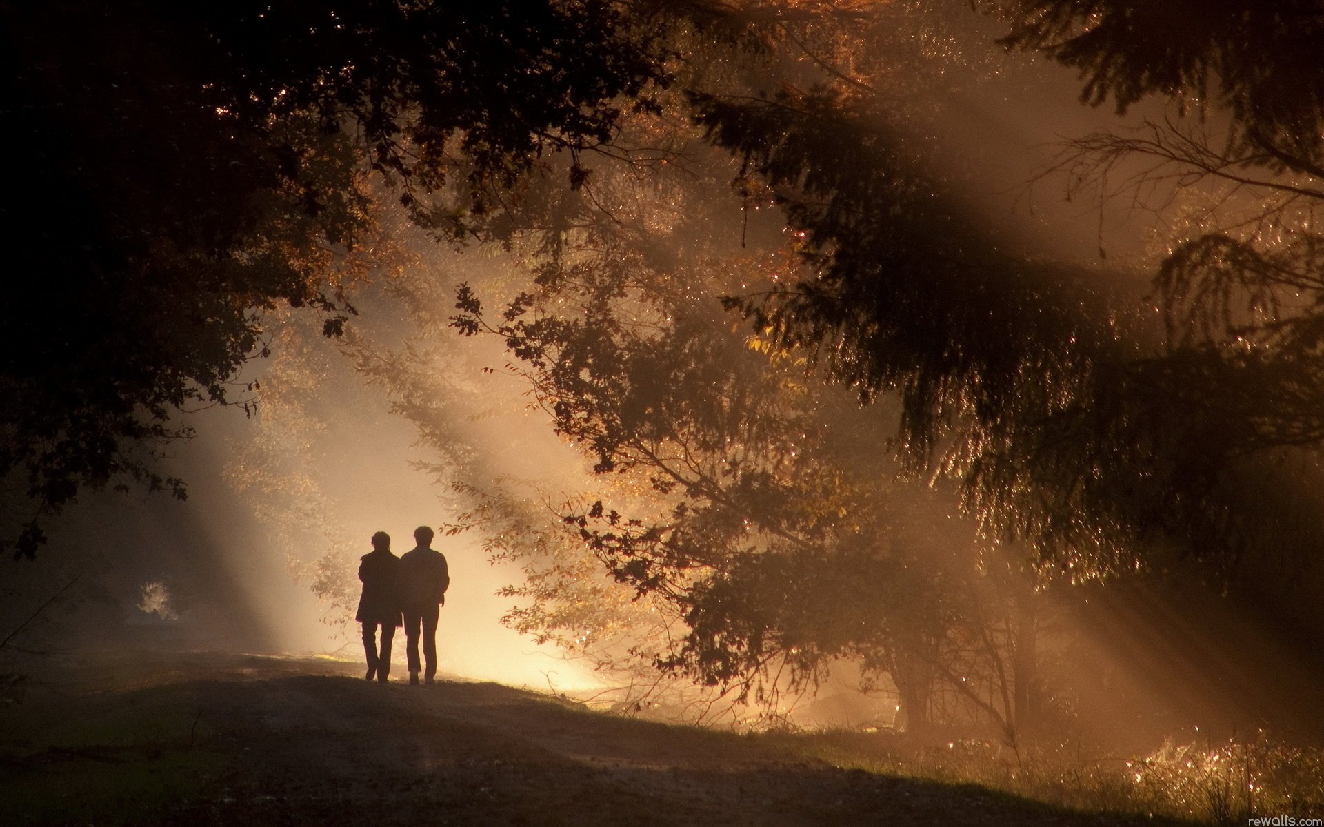 abend dämmerung wald park zwei zu fuß