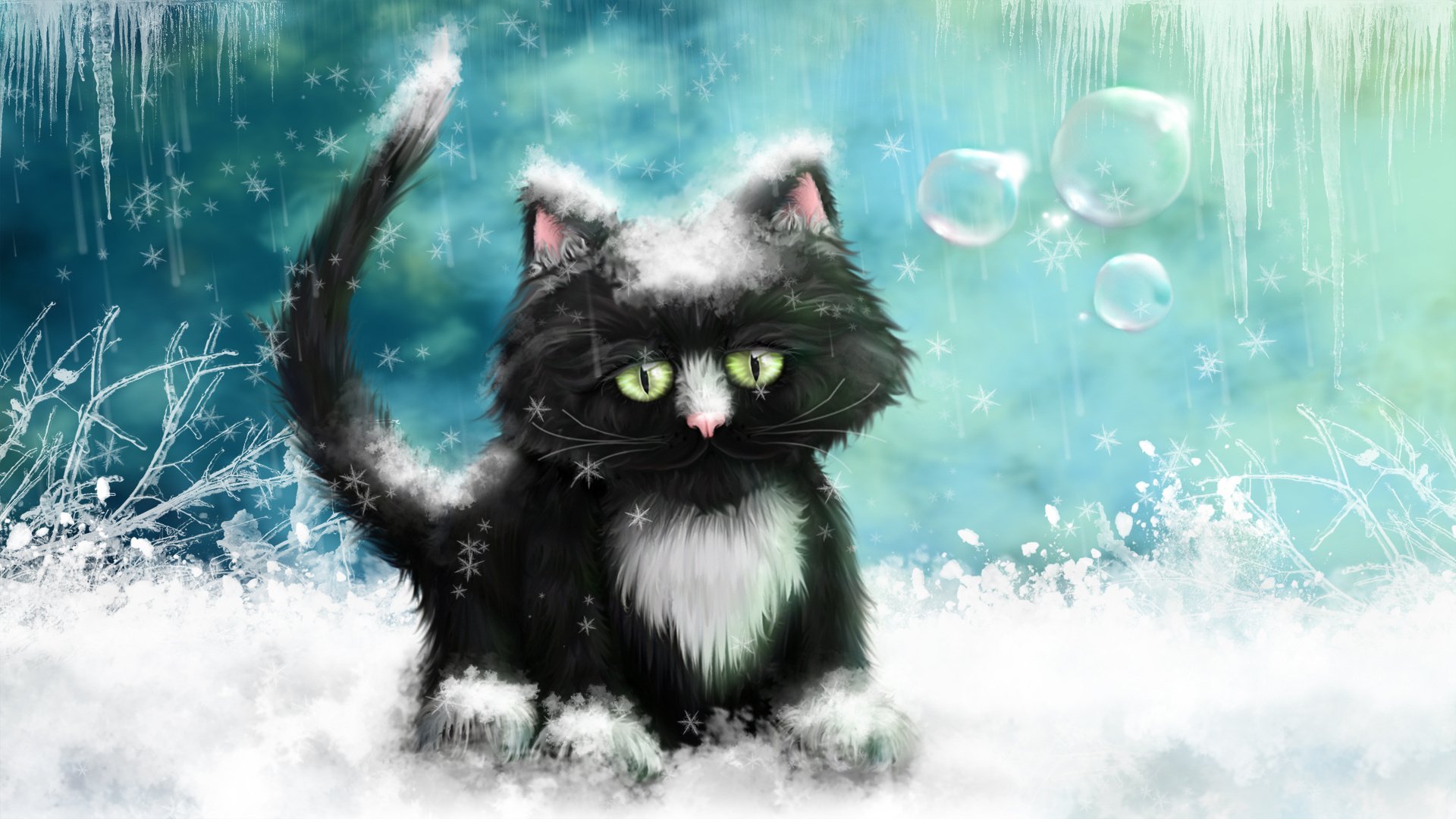 cat snow winter frost icicles picture pattern