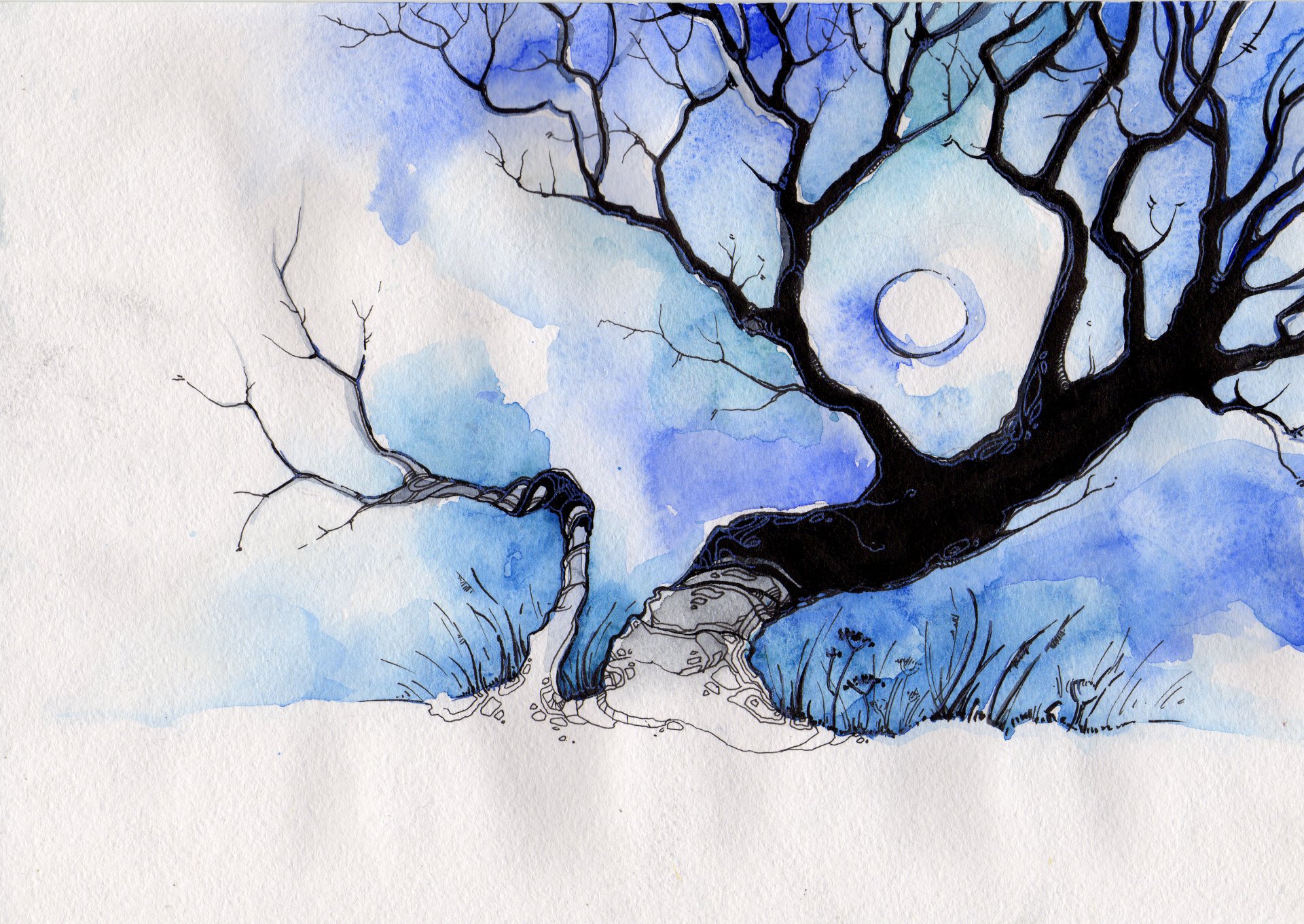 picture tree moon blue white sulamith deviantart