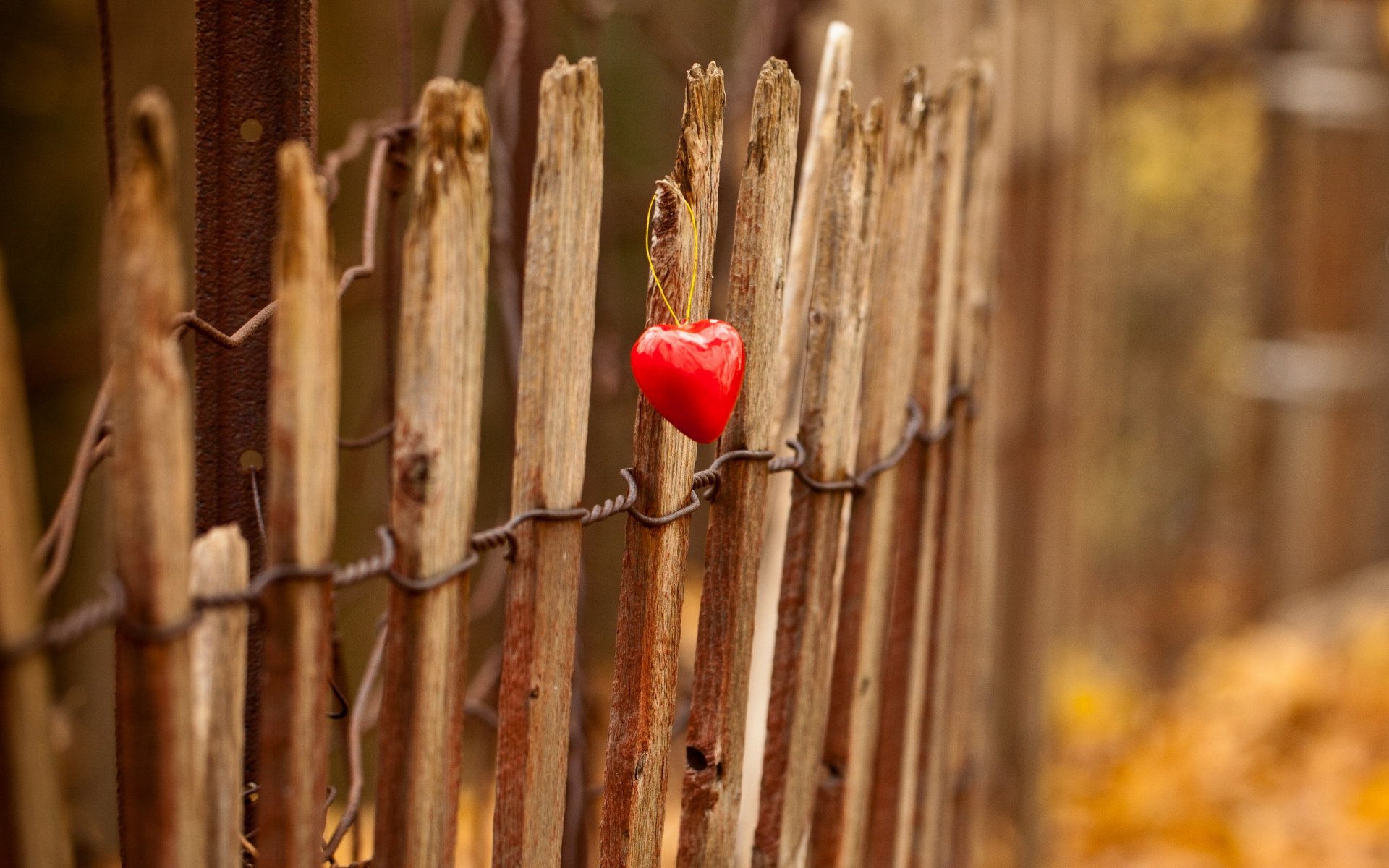 fence heart light