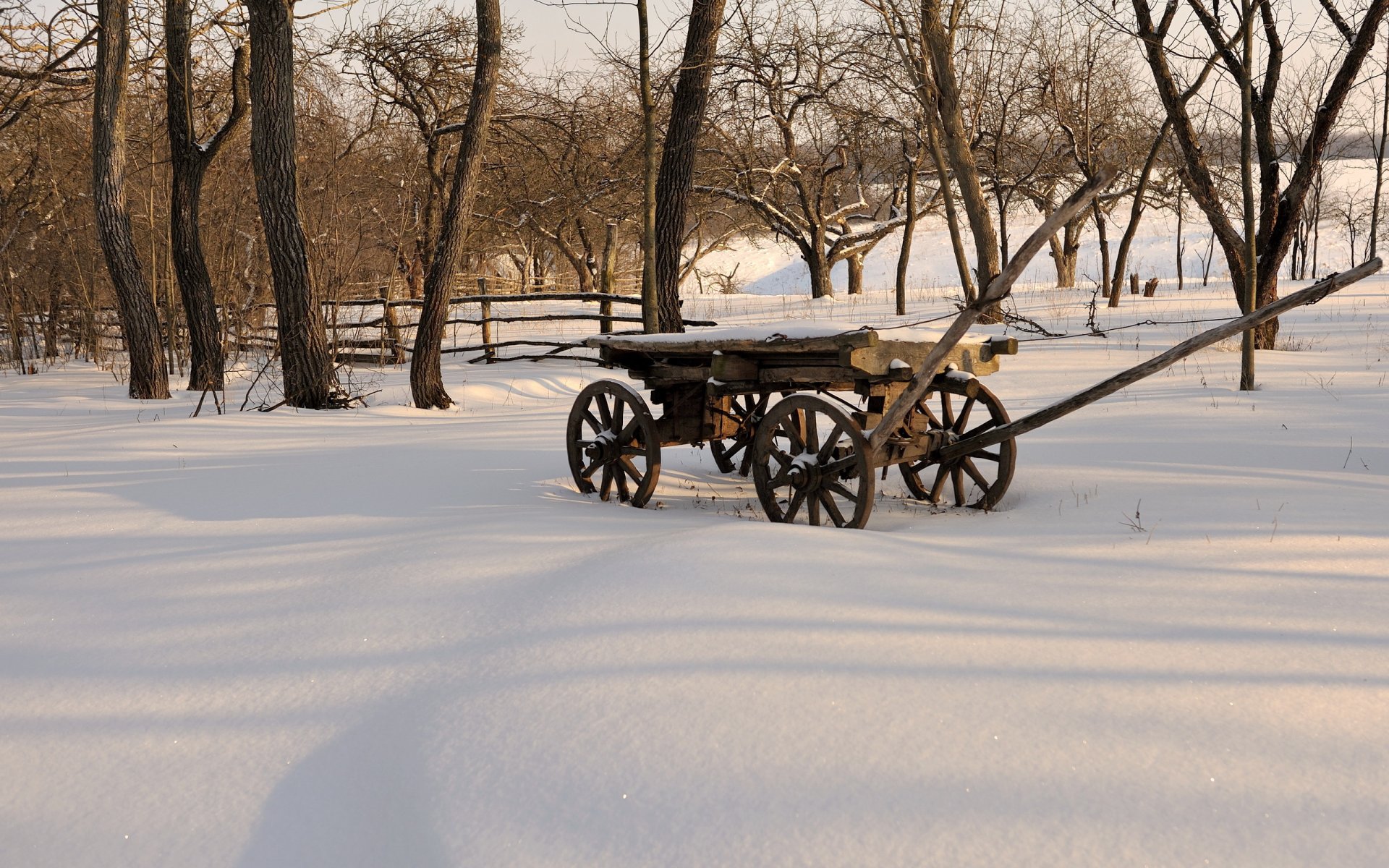 invierno nieve carro