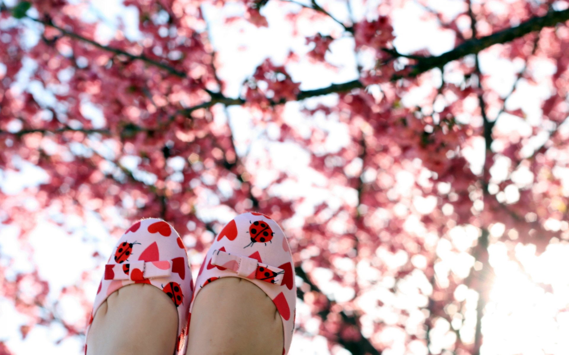 frühling garten stiefel stimmung