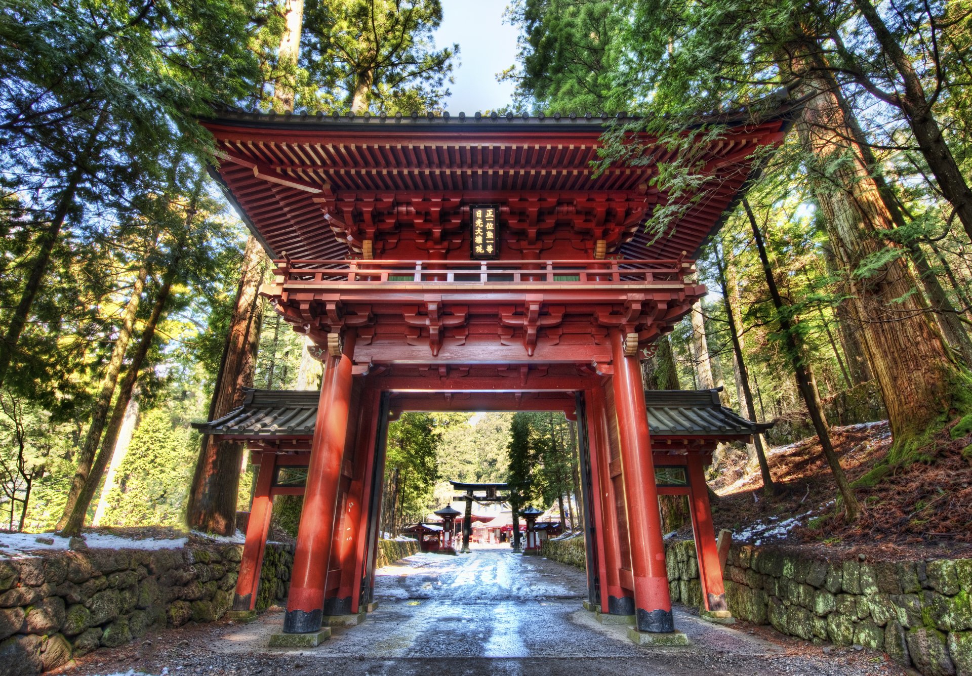 japón nikko bosque