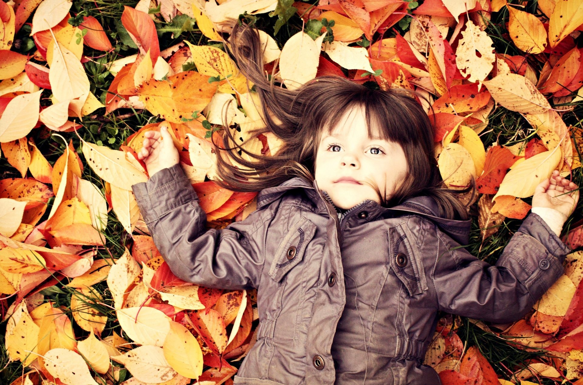 child child baby girl autumn fallen leave