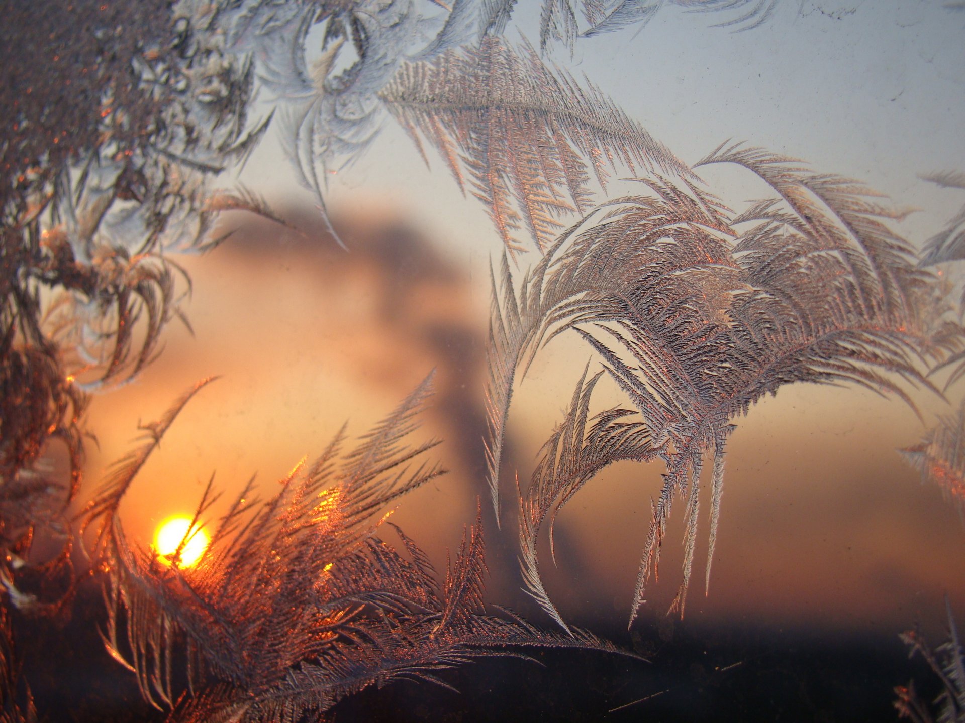 verschiedenes dämmerung muster frost fenster