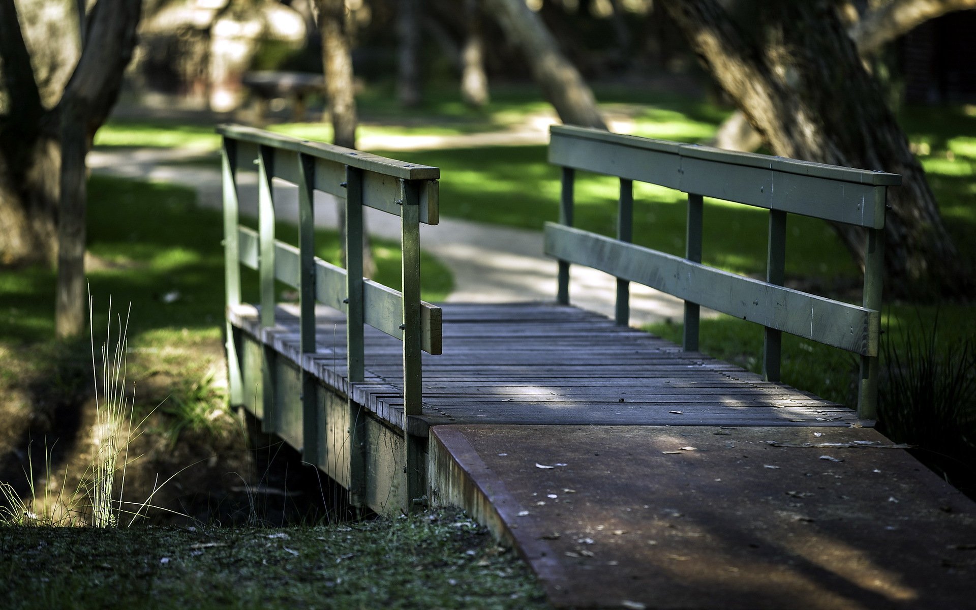 parque puente camino