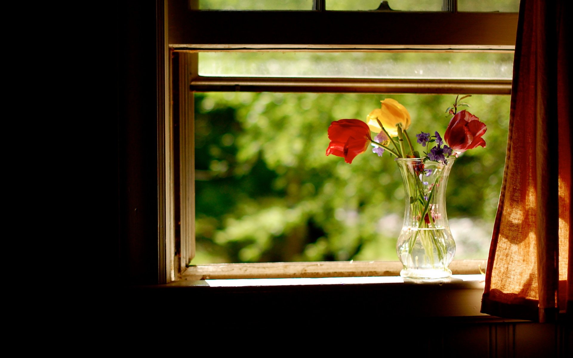 ventana flores verano