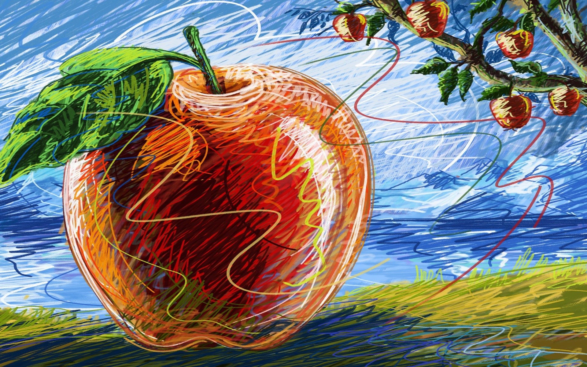 drawing apple apple tree tree macro fruit