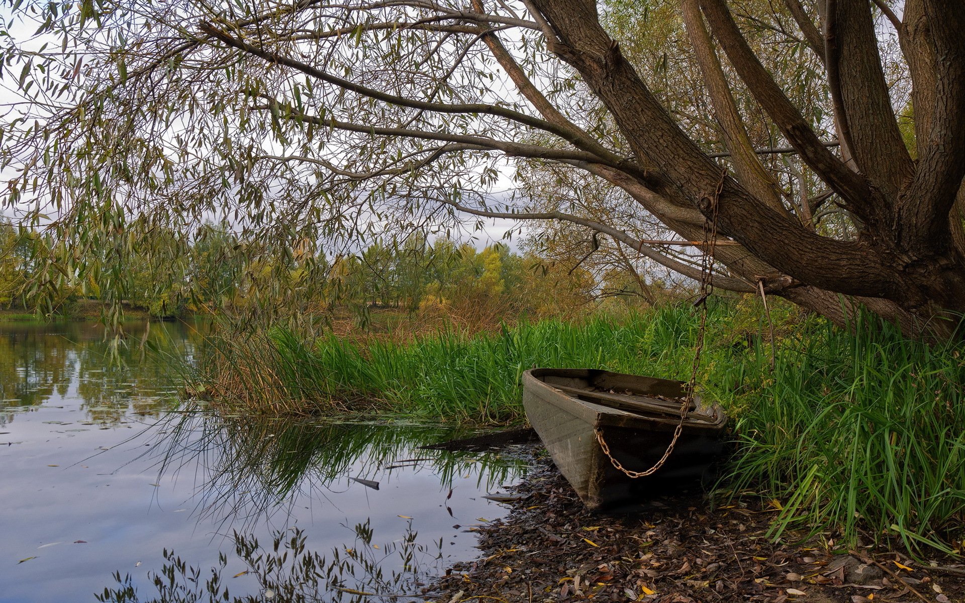 lake boat nature