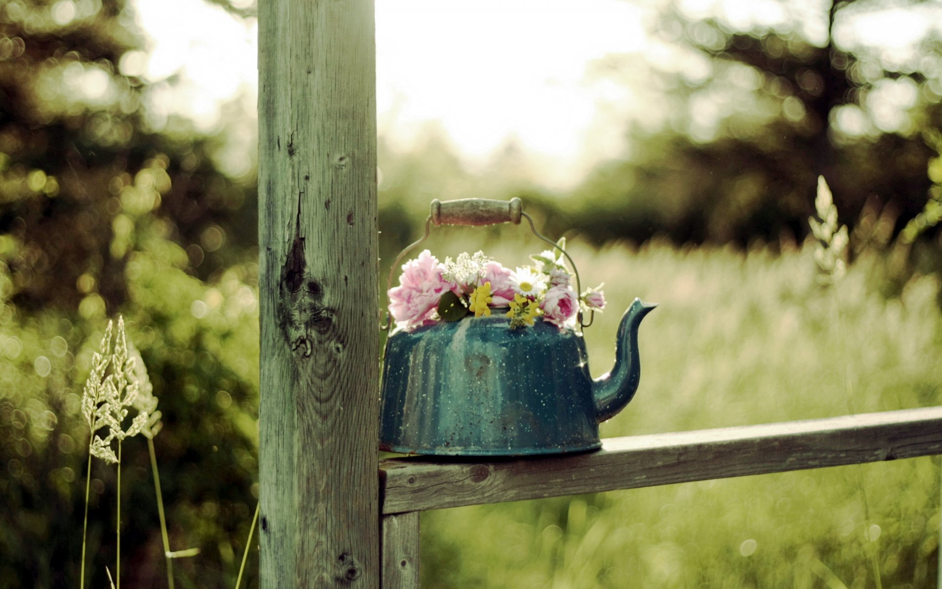 kettle flower background