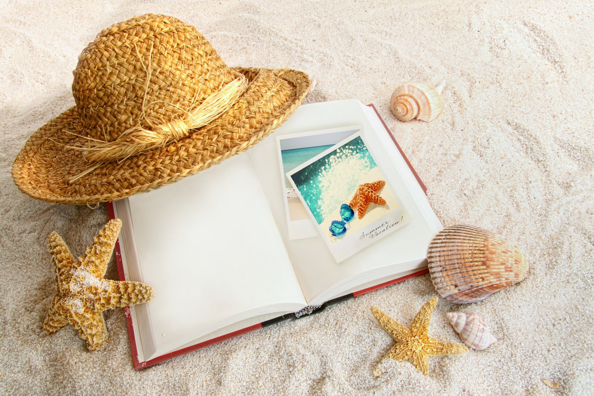 book sand shells starfish hat