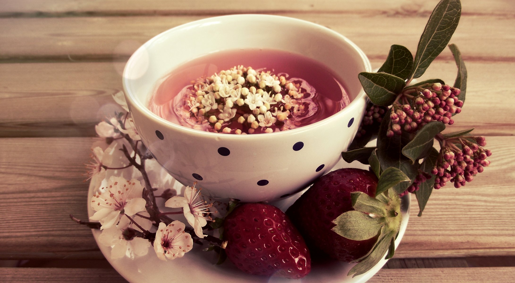 cup saucer strawberry flower leave