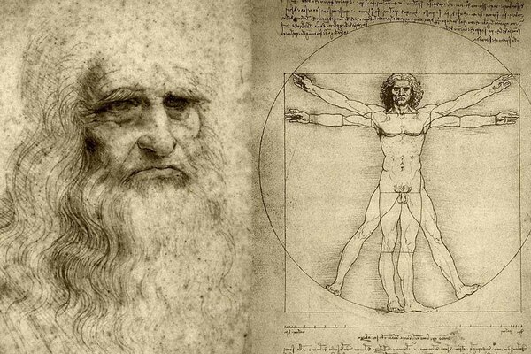 Vitruvianischer Mann Leonardo da Vinci Zeichnung Tapete