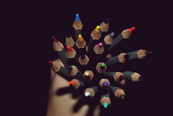 Photos of colored pencils in the set